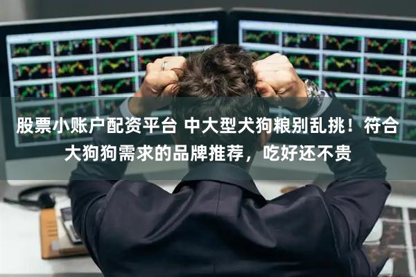 股票小账户配资平台 中大型犬狗粮别乱挑！符合大狗狗需求的品牌推荐，吃好还不贵