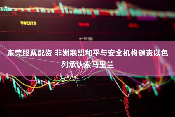 东莞股票配资 非洲联盟和平与安全机构谴责以色列承认索马里兰